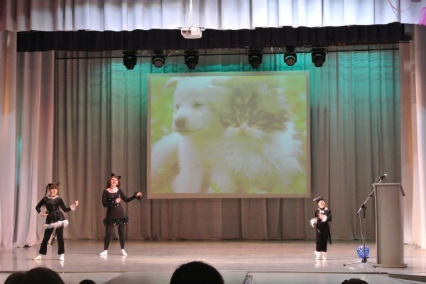 В Рубцовске состоялся благотворительный концерт в поддержку приюта для бездомных животных "Алиса"