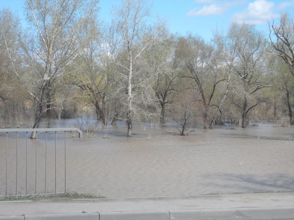 В Рубцовске из-за поднятия грунтовых вод закрыли детский сад