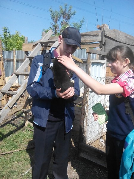 Школьники посетили приют для животных "Алиса"