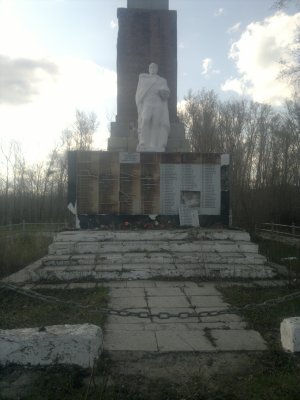 В Егорьевском районе памятник Воинам-освободителям явно не удостоен внимания местных чиновников