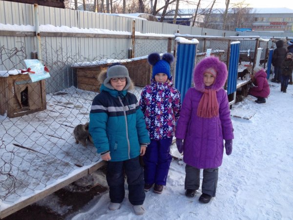 В Рубцовске школьники посетили приют для бездомных животных 