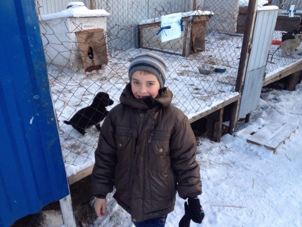 В Рубцовске школьники посетили приют для бездомных животных "Алиса"