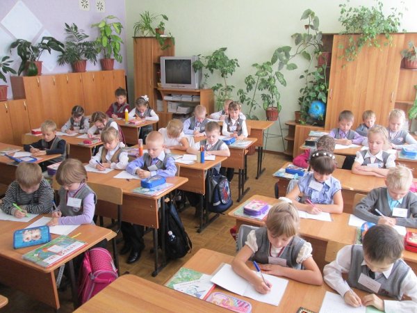 Рубцовские школьники приняли участие в международном исследовании по оценке качества общего образования