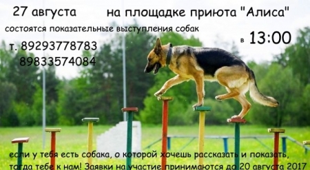 Рубцовский клуб спортивного собаководства набирает популярность