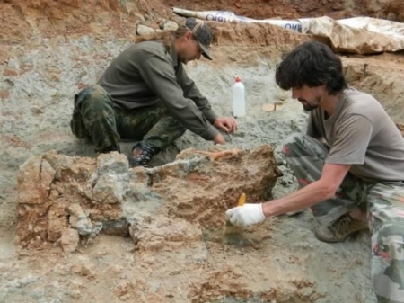 В Кемеровской области откопали ранее неизвестных науке динозавров