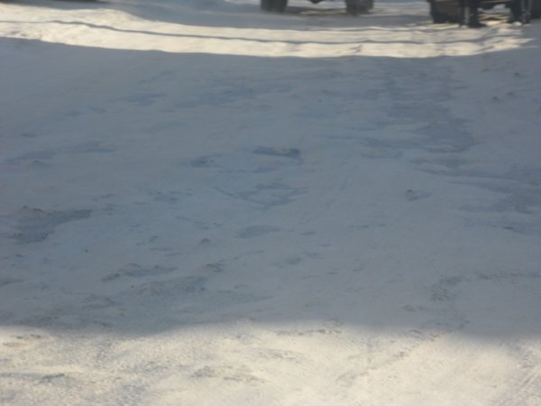 По официальной информации в Рубцовске нет наледи и снежных накатов