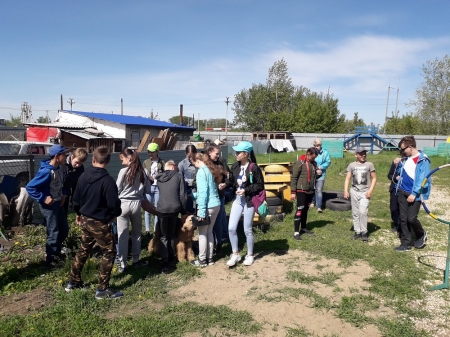 В День защиты детей клуб спортивного собаководства Рубцовска провел для школьников показательные выступления