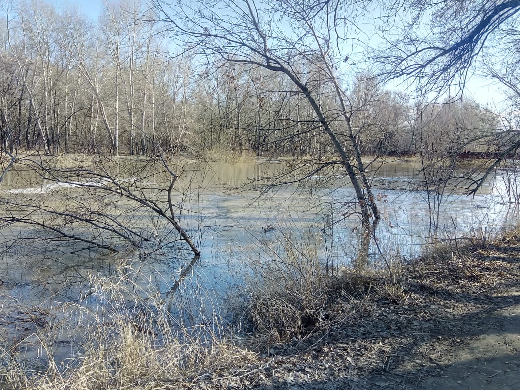 Алей 2 х. Река алей Алтайский край. Река алей в Рубцовске. Дно реки алей. Алей весной.