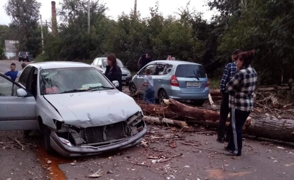 В Рубцовске от порыва ветра упало дерево прямо на автомобили