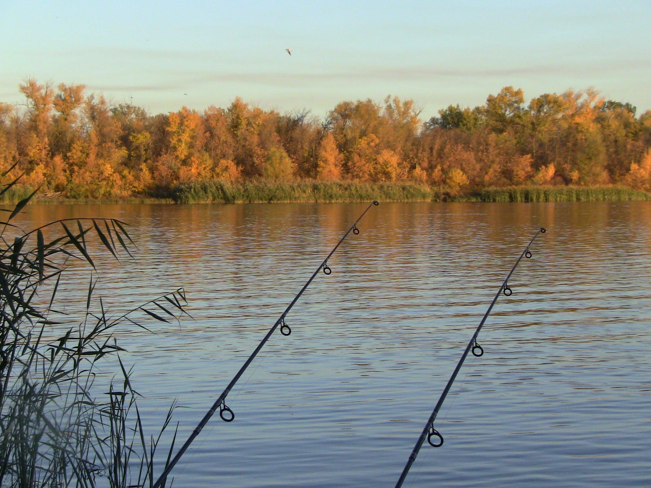 Ловля на 2 удочки. Осень рыбалка. Осенняя рыбалка. Природа рыбалка. Осень река рыбалка.