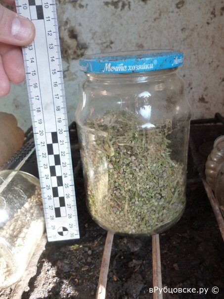 Рубцовчанин хранил марихуану дома в пластиковых банках
