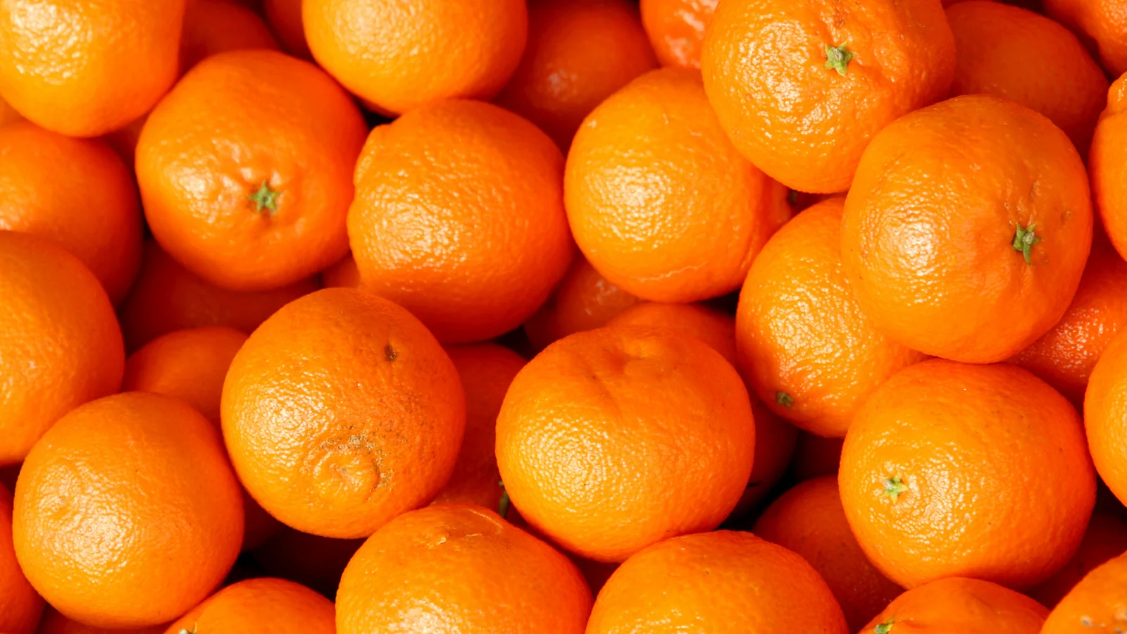 Теле мандарины. Апельсины. Мандарин. Апельсин и мандарин. Квадратный апельсин.